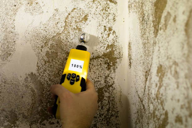 Mold Testing and Removal in Ninety Six, SC